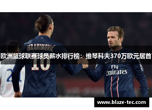 欧洲篮球联赛球员薪水排行榜:维琴科夫370万欧元居首